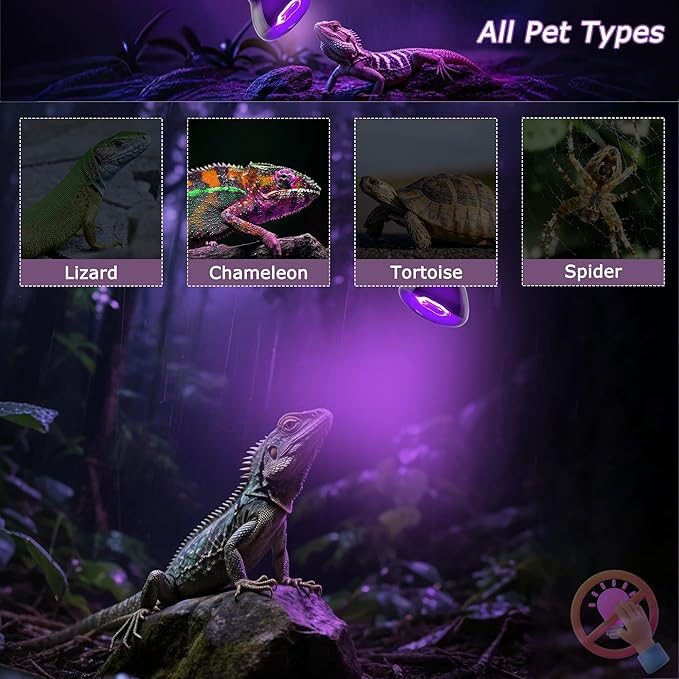 75W Reptile Night Light Bulb – 2.5" Compact Purple UVA Basking Lamp for Lizards, Chameleons, Snakes, Turtles, Amphibians, Bearded Dragons – Indoor Terrarium Heat & Night Lamp, 2-Pack