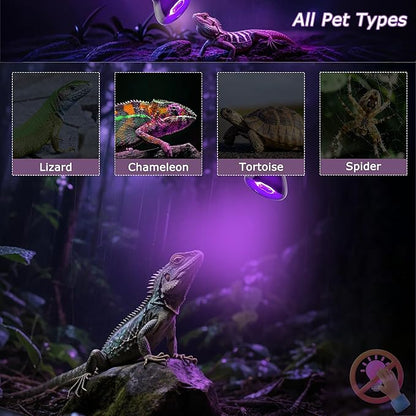 60W Reptile Night Light Bulb – 2.5" Small Purple Moonlight UVA Heat Lamp for Bearded Dragons, Lizards, Snakes, Chameleons, Amphibians, Turtles – Indoor Terrarium Basking Lamp, 2-Pack