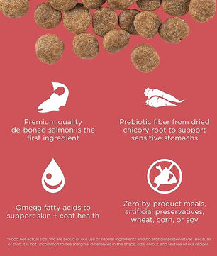 Go! Solutions Sensitivities Limited Ingredients, Grain-Free Dry Dog Food, Salmon Recipe for Sensitive Stomach, 3.5 lb Bag