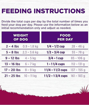 Wellness Complete Health Small Breed Dry Dog Food with Grains, Natural Ingredients, Made in USA with Real Turkey, For Dogs Up to 25 lbs, (Adult, Turkey & Oatmeal, 4-Pound Bag)