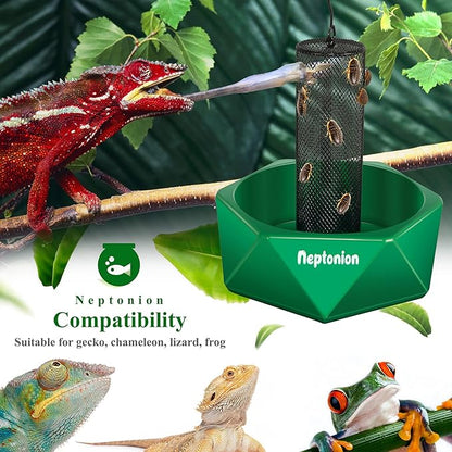 Hookable Chameleon Feeding Bowl, Professional Live Worm Organizer with Column for Prey to Climb and Move, Suitable for Lizard, Bearded Dragon, Iguana, Gecko, Toad, Frog