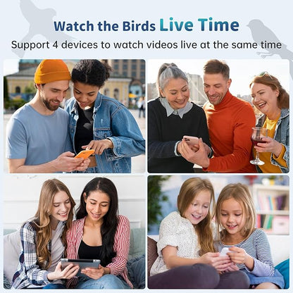 Smart Bird Feeder with Camera Solar Powered & AI Bi rd Identification, 2.4Ghz WiFi Bird feeders for Outdoors, 2K Live Video, Nstant Arrival Alerts - Best Gifts for Bi rd Lovers - Green