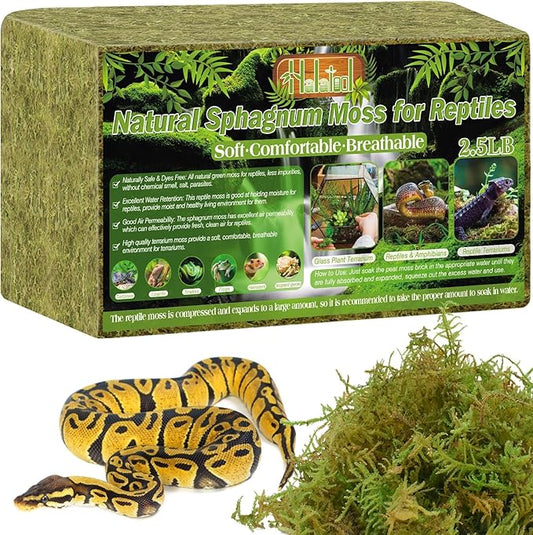 Halatool 2.5LB Natural Sphagnum Moss for Reptiles- 60QT Green Moss for Terrarium Plants Long Fiber Reptile Moss for Leopard Gecko Snake Hamsters Tortoises Frogs Lizards Salamanders