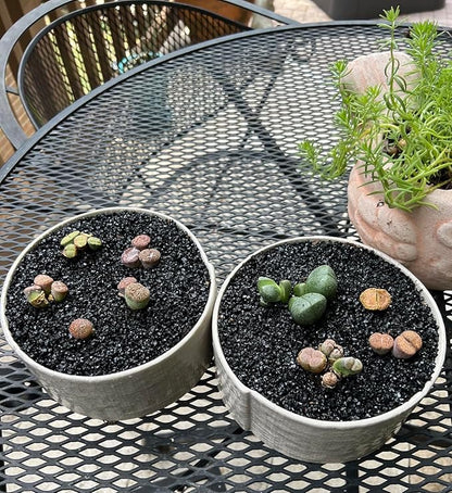 TOYPOPOR 6lb Succulents and Cactus Black Sand, Décor & Additive Tiny Stones, DIY Rocks Gravel, Decorative Pebbles for Bonsai, Fairy Gardening, Terrarium, Vases Fillers, Top Dressing