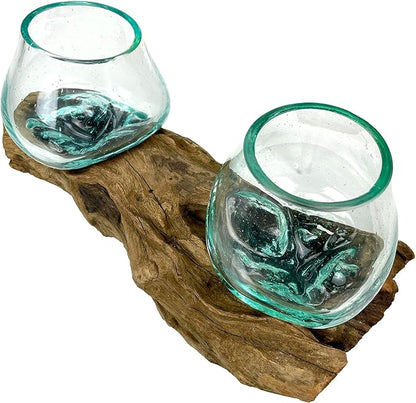 Double Molten Glass Bowl on Driftwood Base, Hand Blown Glass and Wood Centerpiece, Unique Rustic Table Decor, Dual Planter Terrarium, Natural Wood Art Glass Sculpture, 10.5 Inch Artisan Accent