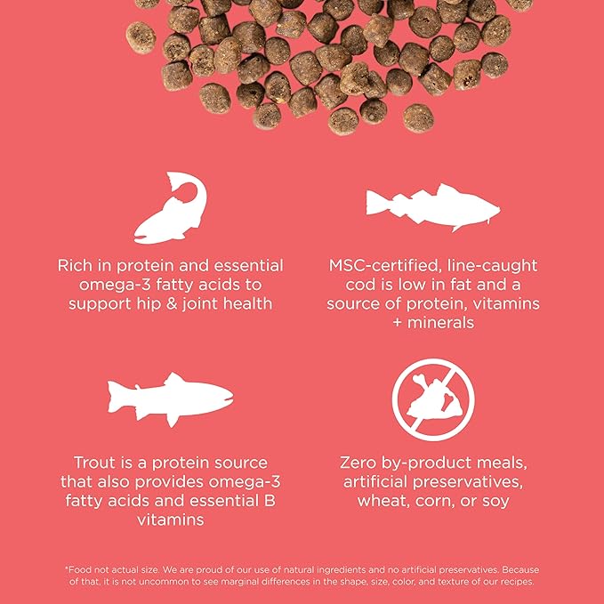 Go! Solutions Carnivore, Grain-Free, Protein Rich Dry Cat Food, Salmon and Cod Recipe, 16 lb Bag