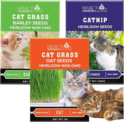 NatureZ Edge Cat Grass Seeds & Catnip Seeds - 3 Pack Variety Kit, Cat Grass for Indoor Cats, Oat & Barley Seeds for Planting, Cat Plant, Indoor Cat Grass Kit, hierba para Gatos