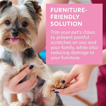 Bona Fide Beauty Pet Nail File Made of Czech Glass, Quiet and Painless Pet Nail Filer for Small Dogs, Cats, Birds, and Rabbits