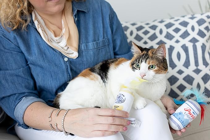 Pearhead Pet Crinkle, Feather, Catnip, and Teaser Pawty Time Cat Toy Set, Owner Playtime Accessory, Must Have Kitten Accessories