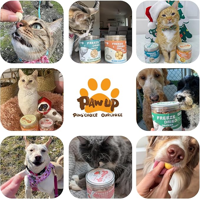 Freeze-Dried Pumpkin Treats for Dogs & Cats – High Fiber, Single Ingredient Natural Snacks for Digestion & Gut Health, Healthy Food Toppers, 1.58 oz