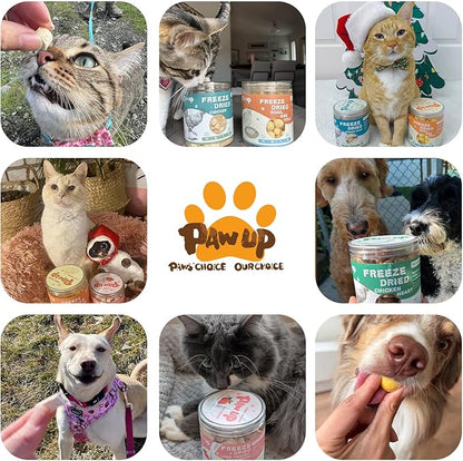 Freeze-Dried Pumpkin Treats for Dogs & Cats – High Fiber, Single Ingredient Natural Snacks for Digestion & Gut Health, Healthy Food Toppers, 1.58 oz