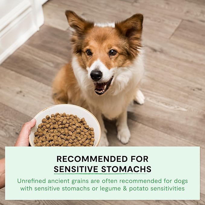 Open Farm, Ancient Grains Dry Dog Food, Protein-Rich & Nutrient Dense, 90% Animal Protein Mixed with Non-GMO Fruits, Veggies and Superfoods, New Zealand Venison Recipe, 22lb Bag