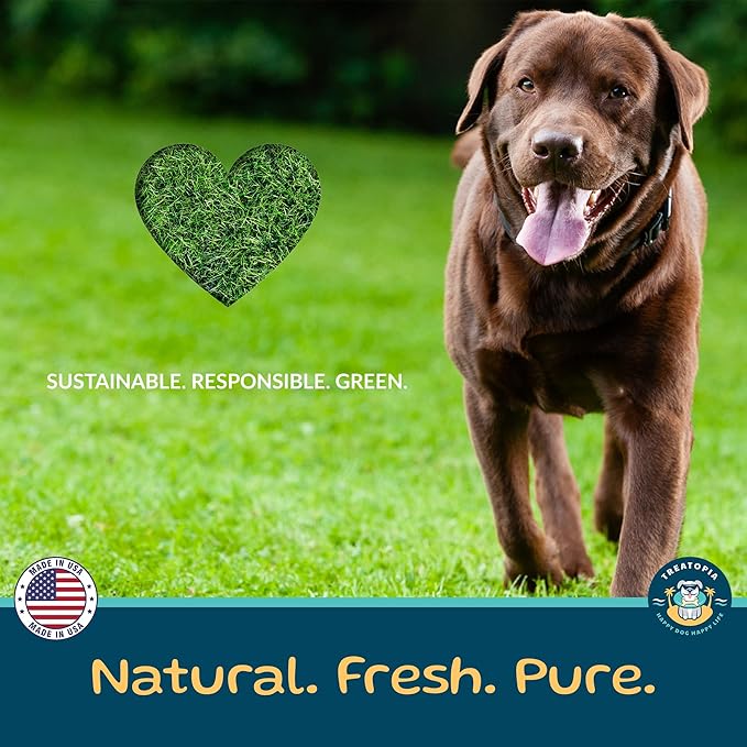 TREATOPIA Adventure Champ Dog Bones, 12-Piece 6” Shank Center Cut Marrow - Long-Lasting Natural Chews for All Dog Sizes, USA Made, Single Ingredient, Hand-Trimmed, Slow-Roasted, No Additives/Fillers