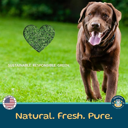 TREATOPIA Adventure Champ Dog Bones, 12-Piece 6” Shank Center Cut Marrow - Long-Lasting Natural Chews for All Dog Sizes, USA Made, Single Ingredient, Hand-Trimmed, Slow-Roasted, No Additives/Fillers