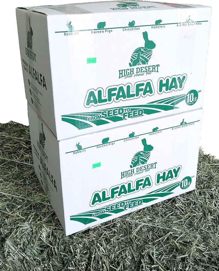 High Desert Alfalfa Hay, Protein Rich Soft Leaf Food for Young Growing Animals, Natural Rabbit Food and Guinea Pig Hay, Supports Digestive Health, Small Pet Supplies, Fresh Hand, Pack of 2, 10 Lb Box