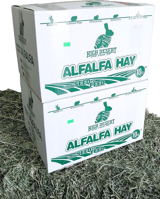 High Desert Alfalfa Hay, Protein Rich Soft Leaf Food for Young Growing Animals, Natural Rabbit Food and Guinea Pig Hay, Supports Digestive Health, Small Pet Supplies, Fresh Hand, Pack of 2, 10 Lb Box