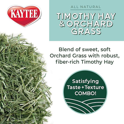 Kaytee Timothy Hay & Orchard Grass for Guinea Pigs, Rabbits & Other Small Animals, 48 oz