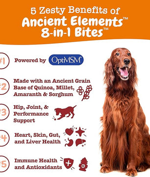 Zesty Paws Dog Multivitamin, Chewable Dog Vitamins and Supplements for Hip & Joints, Skin & Coat, Omega 3 Fish Oil for Dogs- Senior & Puppy Multivitamin - Bison- 90ct