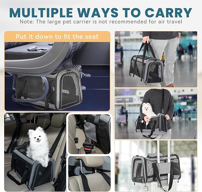 Petsfit Cat Carrier Small Dog Carrier, Lightweight Portable Soft Pet Carrier for Large and Medium Cats, 5-Sided Breathable Mesh, Escape Proof and Auto-Safe, Sturdy Structure
