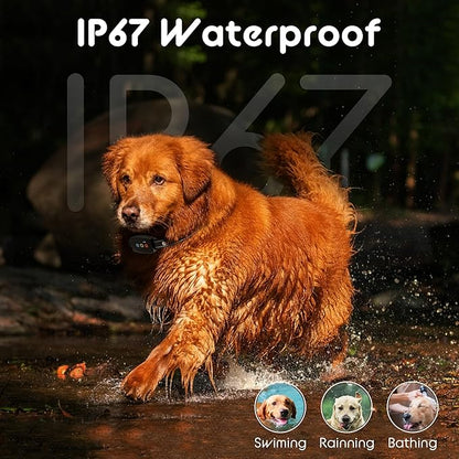 Dog Training Collar Shock Collars for Dogs with Remote 2600 Ft Remote Control Range 4 Modes Beep Vibration Shock Built-in Bright Led Light Rechargeable Waterproof (Full Dark, for 1 Dog)