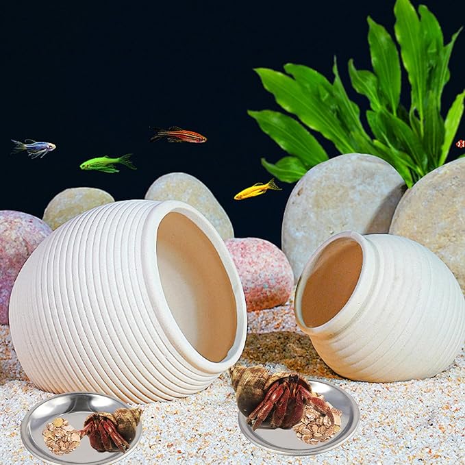10 Pcs Hermit Crab Food Dish, Stainless Steel Hermit Crab Water Bowl, Reptile Feeding Bowls, Tank Aquarium Accessories, for Crab Snail Gecko Insect