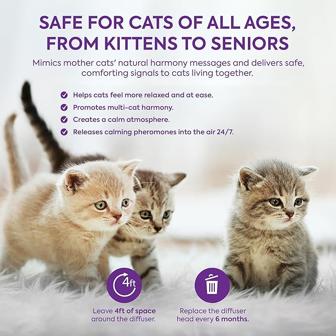Cat Pheromones Calming Diffuser: Premium Pheromone Diffuser for Cats - Cat Pheromones Diffuser - Cat Calming Diffuser - Cat Calming Pheromone Diffuser, 4 in 1 (Purple)