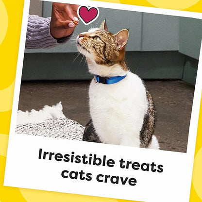 Temptations Classic Crunchy and Soft Cat Treats Tasty Chicken Flavor, 48 oz. Pouch