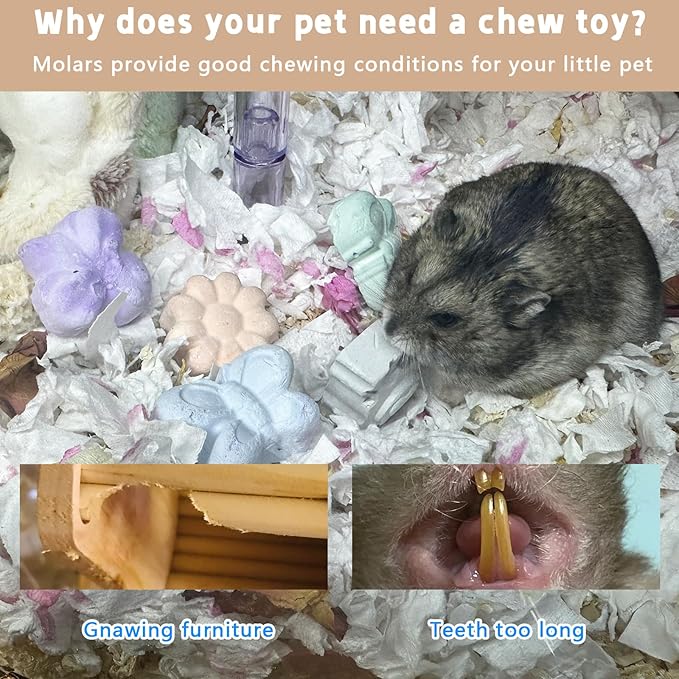 10 Pieces Hamster Teeth Grinding Lava Block Calcium Stone Chew Toys for Chinchillas Rabbits Gerbil Guinea Pig Syrian Hamster Squirrel Ferret