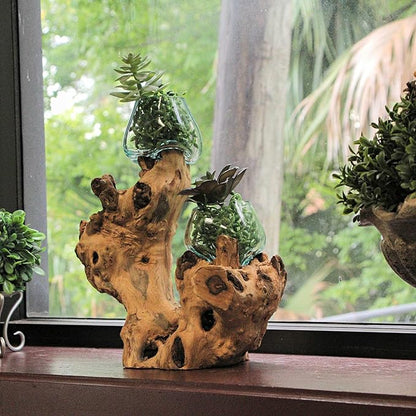 Molten Glass On Root Wood Double Decorative Bowl Vase Plant Terrarium - Boho Style for Tabletops