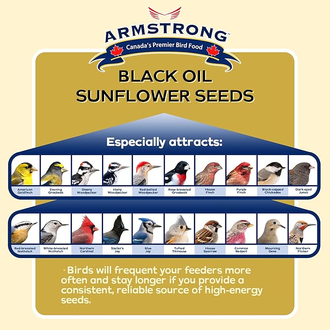 Armstrong Wild Bird Food Black Oil Sunflower Bird Seed, 3 Pounds - for Northern Cardinals, Blue Jays and Hairy Woodpeckers - Ideal for Outside Feeders