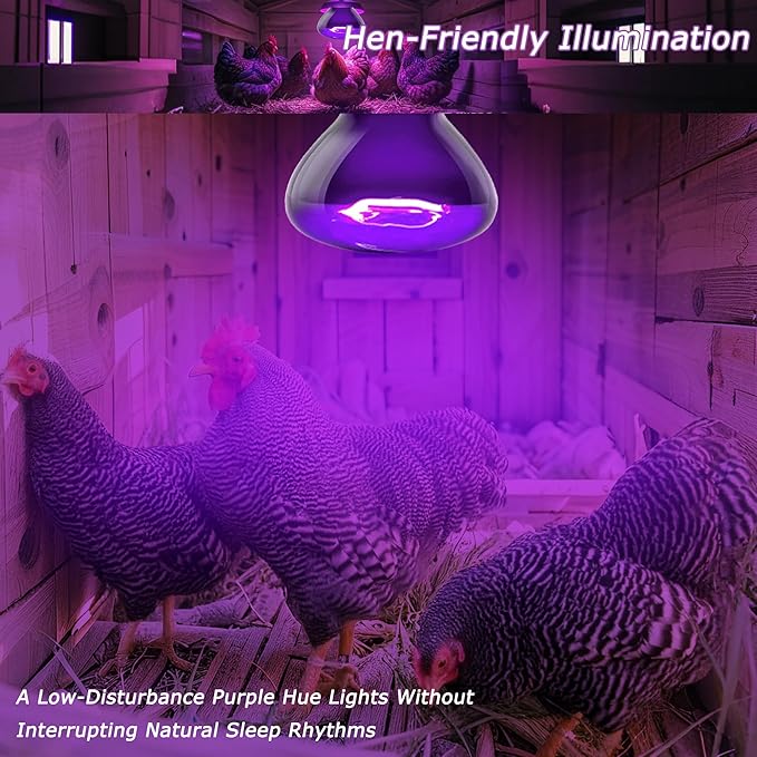 75W Reptile Night Light Bulb – 2.5" Compact Purple UVA Basking Lamp for Lizards, Chameleons, Snakes, Turtles, Amphibians, Bearded Dragons – Indoor Terrarium Heat & Night Lamp, 2-Pack