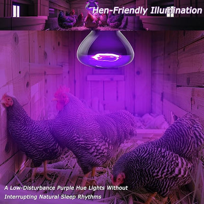 75W Reptile Night Light Bulb – 2.5" Compact Purple UVA Basking Lamp for Lizards, Chameleons, Snakes, Turtles, Amphibians, Bearded Dragons – Indoor Terrarium Heat & Night Lamp, 2-Pack