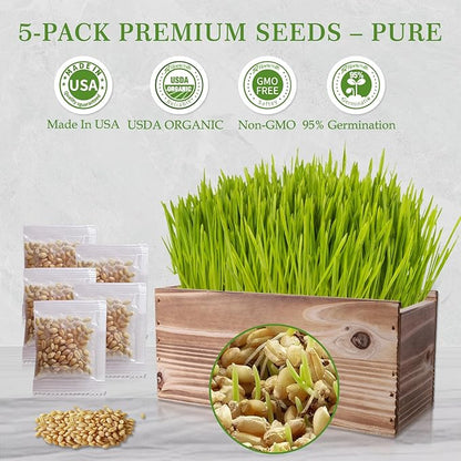 5-Pack Cat Grass Kit for Indoor Cats with Wood Planter, Grow Organic Non-GMO Wheat Grass in 4-7 Days, Aids Digestion & Hairball Control, Ideal Birthday Gift for Cat Lovers