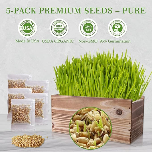 5-Pack Cat Grass Kit for Indoor Cats with Wood Planter, Grow Organic Non-GMO Wheat Grass in 4-7 Days, Aids Digestion & Hairball Control, Ideal Birthday Gift for Cat Lovers