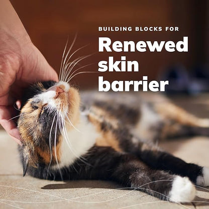 CeraSoothe® KET Antiseptic Flush 16oz