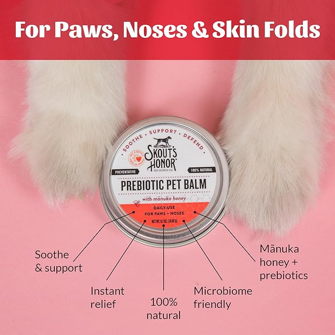 SKOUT'S HONOR Prebiotic Pet Balm - 100% Natural and Made w/Manuka Honey to Promote Healing of Your pet's paw Pads and Nose, Soothes Dry, Itchy Paws and Noses - Safe for Cats and Dogs, 0.7 oz, 6-Pack