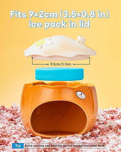 BUCATSTATE Hamster Hideout Ceramic, Coconut Shape Hamster House and Habitat for Dwarf Hamsters, Mice, Syrian Hamsters, Chipmunks or Other Small Pets (Brown-Large)