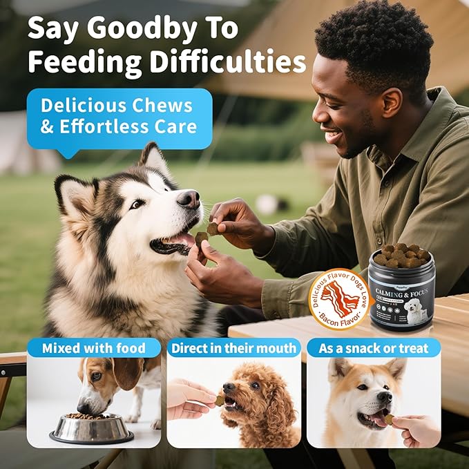 Calming Chews for Dogs – Calming Treats for Anxiety, Stress, Separation, Travel & Thunder, Non-Drowsy Alternative to Melatonin, Calm & Focus with Chamomile & Ashwagandha, Bacon Flavor, 60Ct
