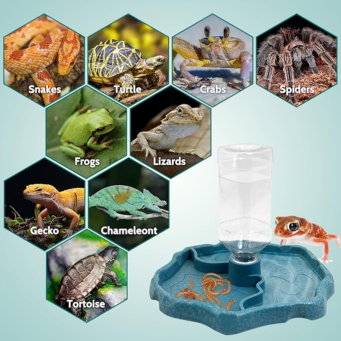 9oz Reptile Water Bottle, Turtle Automatic Feeders Waterer Food and Water Bowl pet Dispenser Bottle Feeding Dish for Lizard Tortoise Chameleon