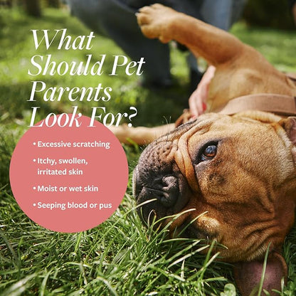 Veterinary Formula Clinical Care Hot Spot & Itch Relief Medicated Spray, 8oz – Easy to Use Spray for Dogs & Cats – Helps Alleviate Sensitive Skin, Scratching, and Licking of Coat (2 Pack)