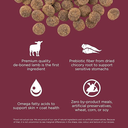 Go! Solutions Sensitivities Limited Ingredients, Grain-Free Dry Dog Food, Lamb Recipe for Sensitive Stomach, 3.5 lb Bag