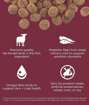 Go! Solutions Sensitivities Limited Ingredients, Grain-Free Dry Dog Food, Lamb Recipe for Sensitive Stomach, 22 lb Bag