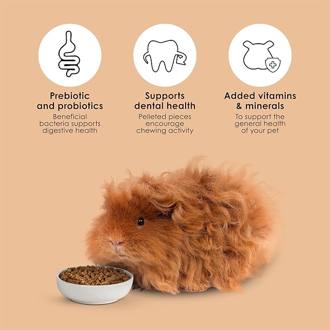 Kaytee Timothy Complete Guinea Pig Food 25 Pounds