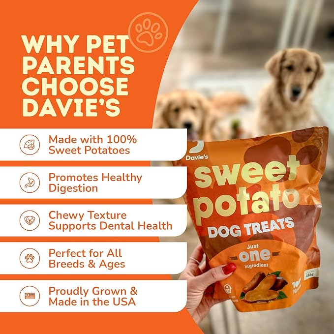 Davie's Sweet Potato Dog Treats - Healthy Dog Chews, Low Fat, Made in USA, 1 lb Bag - Pack of 5