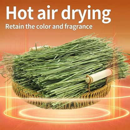 Oven-Baked Timothy Hay for Guinea Pigs, Rabbits & Chinchillas, All Natural High Fiber Food for Digestive Health, 1.1 LB