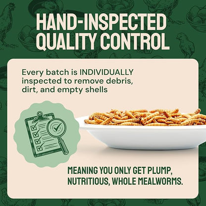 Dried Mealworm Bird Food - 20 Lb Bulk Pack - High Protein Poultry & Chicken Feed - Duck Food & Wild Bird Feed & Quail Treats