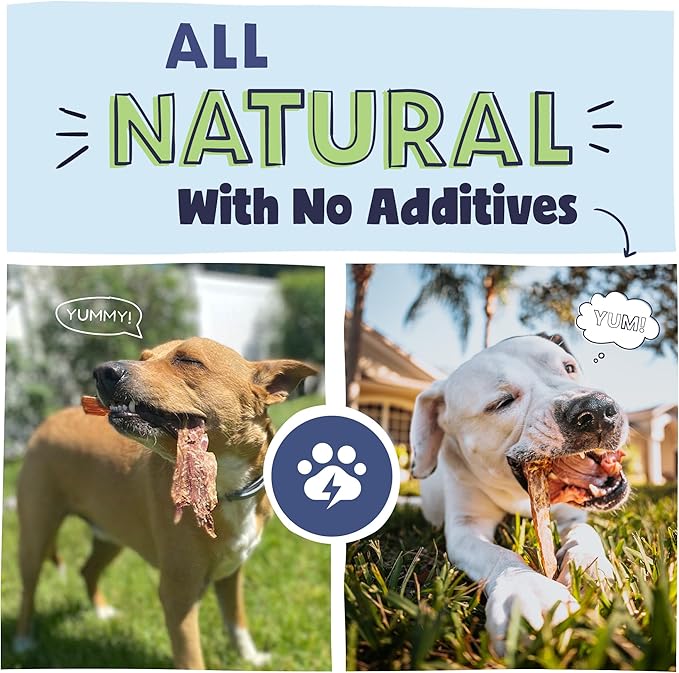 Pawstruck Premium Beef Jerky Dog Treat Chews, Large 10" Strips – Supports Hip & Joint Health, Rich in Glucosamine & Chondroitin, No Added Preservatives – 15 Count