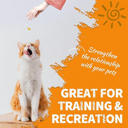 Just Try 13.4 OZ Pumpkin Cat Treats Cat Constipation Relief Hairball Control Healthy Salmon Snacks Training Biscuits Treats for Digestive Support Low Calorie Kitten Snacks
