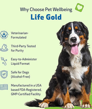 Life Gold for Dogs - Supports Detoxification, Immune System Health, Antioxidants - Vet-Formulated Herbal Supplement – 4 oz (118 ml)
