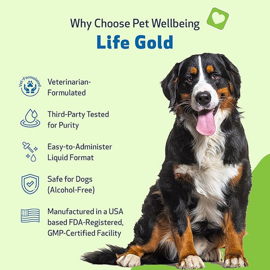 Life Gold for Dogs - Supports Detoxification, Immune System Health, Antioxidants - Vet-Formulated Herbal Supplement – 4 oz (118 ml)